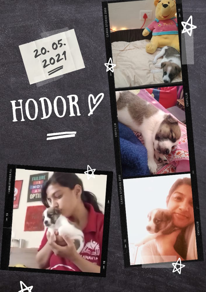 Hodor: My Lil Man!
